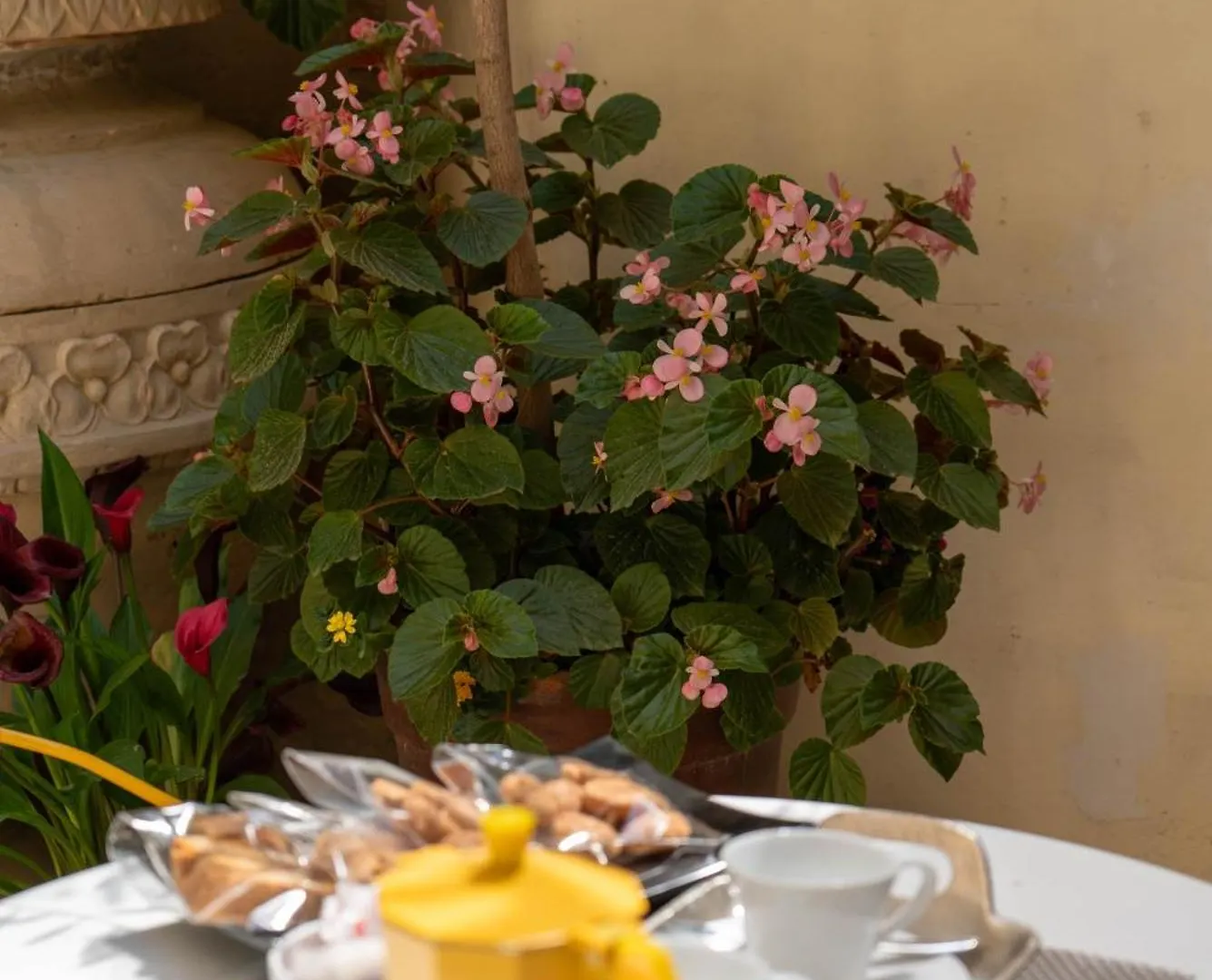 B&B Corte Dei Memoli Di Margiotta Giuseppina Lecce Bed & Breakfast